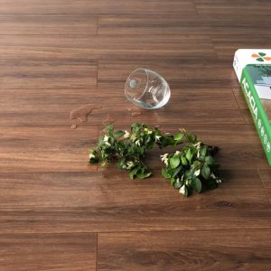 Sàn Gỗ Acacia 8mm A2734 Cốt Xanh