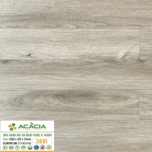 Sàn Gỗ Acacia 12mm A3681 Cốt Xanh